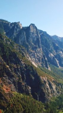 Dev kayaların güneşli tarafını kaplayan çam ağaçları. Yosemite Ulusal Parkı 'ndaki çarpıcı dağlar, Kaliforniya, ABD. Dikey video.
