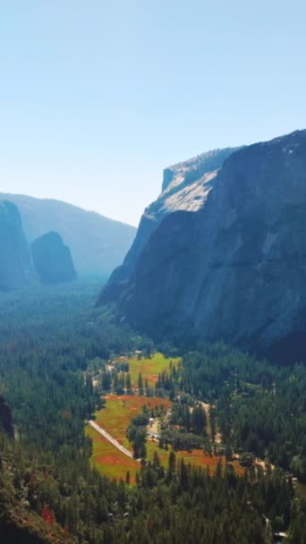 Pine Tree Woods Growing Mountains Valley Sunlit Panorama Amazing Rocks — Stock Video