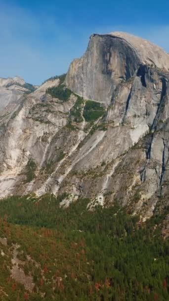Pineta Che Cresce Tra Montagne Yosemite Usa Enormi Scogliere Rocciose — Video Stock