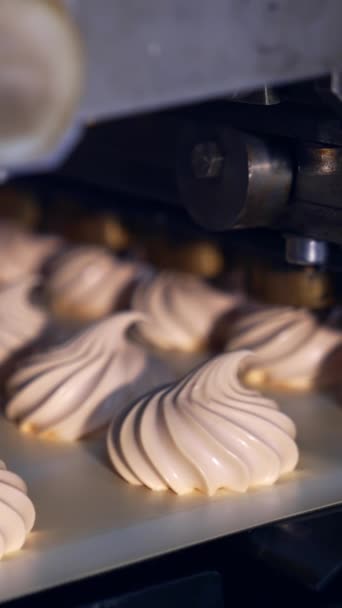 공장에서 제피르를 만드는 마시멜로 컨베이어 라인을 마시멜로우를 이동합니다 Marshmallow 제피르 — 비디오