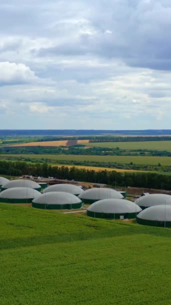 Granja Agrícola Para Bioproducción Planta Biogás Sobre Fondo Naturaleza Verde — Vídeos de Stock