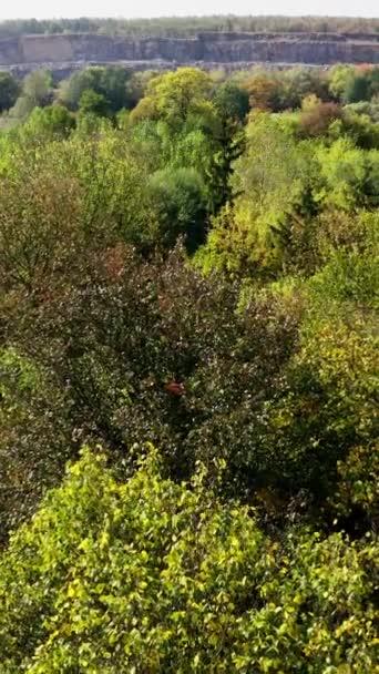 Красивий Ліс Восени Листяні Дерева Фоні Скелястого Каньйону Політ Над — стокове відео