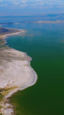 Su ve kara arasındaki sınırda uçuyorlar. Güneşli bir günde, güzel tuzlu Mono Gölü 'nün bitkisiz kıyıları. Üst Manzara. Dikey video.