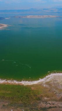 Muhteşem bir göl manzarası, ortada mavi, rıhtımda yeşil. Mono County, Kaliforniya 'daki inanılmaz tuzlu soda gölü. Dikey video.