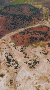 Nadir yeşillikte kuru manzaranın çeşitli renkleri. Arka planda bazı kamaralar ve yollar. Havadan bakış açısı. Dikey video.