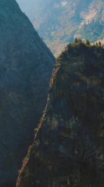 Ender bulunan çam ağaçlarıyla sersemletici kayalar. Yosemite Ulusal Parkı, Kaliforniya, ABD 'de güneşli bir gün görüntüsü. Dikey video.
