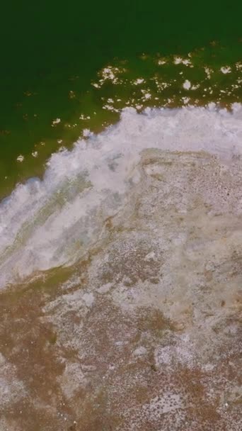 美丽的湖岸上有白色的咸咸鱼群 从顶部看美国加州莫诺湖的绿水 垂直录像 — 图库视频影像