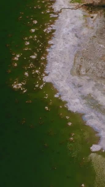 Aquamarine Wody Słonym Jeziorze Biały Szkorbut Solny Pokrywający Szeroką Linię — Wideo stockowe