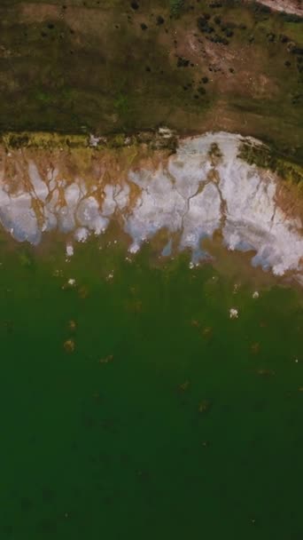美丽的海蓝宝石水边的盐分 白天在美国加州莫诺湖光秃秃的海岸上骑车 垂直录像 — 图库视频影像