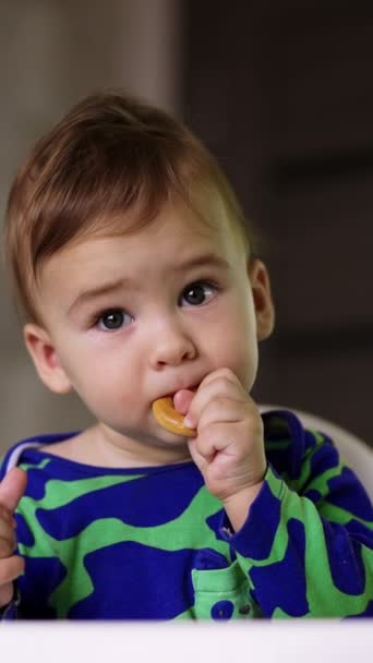Sağlıklı Beyaz Erkek Bebek Atıştırıyor Küçük Simitleri Yiyip Surat Asan — Stok video
