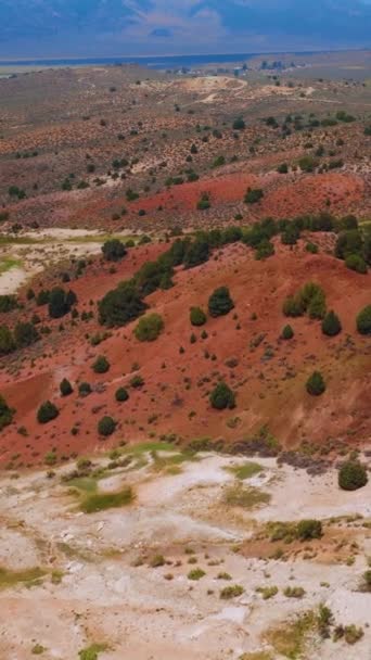 罕见的岩石景观 不同颜色的土壤 美国加利福尼亚州特拉华汀温泉的日间录像 垂直录像 — 图库视频影像