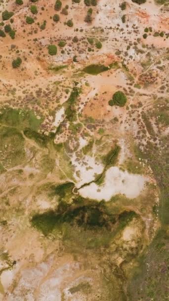 下降到一个干燥的土地上的特拉弗斯丁温泉在加利福尼亚州 在死气沉沉的土地上生长着稀疏的绿叶 顶部视图 垂直录像 — 图库视频影像