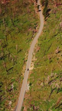 Çam ağaçlarının çıplak gövdeleriyle kaplı kayalık arazide otoyol. Yosemite Ulusal Parkı, Kaliforniya, ABD 'de güneşli bir gün görüntüsü. Hava görüntüsü. Dikey video.