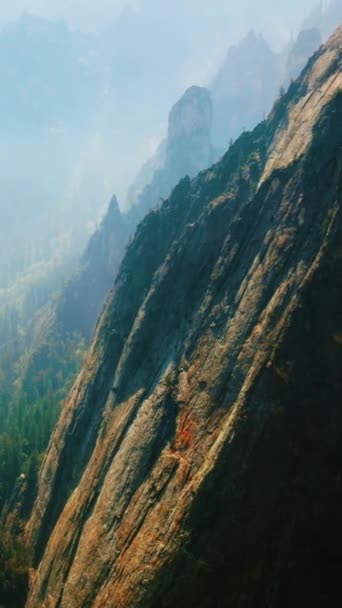 Superbe Forêt Pins Recouverte Épais Brouillard Hautes Montagnes Entourant Bois — Video