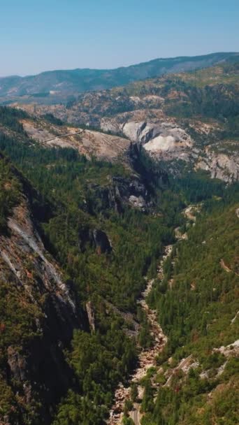 晴れた晴れた日の素晴らしい岩の風景 ヨセミテ国立公園の山で育つ松の木 アメリカ合衆国 上から バーティカルビデオ — ストック動画