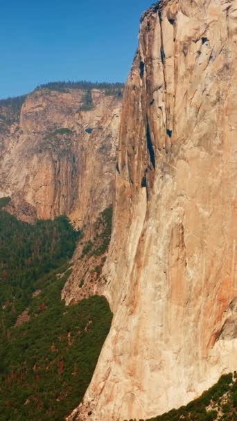 上と足の松の木で巨大な崖をベア カリフォルニア州ヨセミテ国立公園の素晴らしい岩 バーティカルビデオ — ストック動画