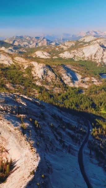 Gri Kayalar Güneşli Bir Günde Çam Ağaçlarıyla Kaplanmış Yosemite Ulusal — Stok video