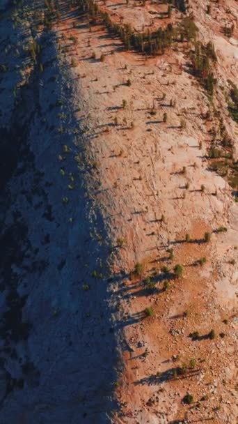光秃秃的灰色岩石上生长着稀少的松树林 从顶部俯瞰美国加利福尼亚州约塞米蒂的群山 垂直录像 — 图库视频影像