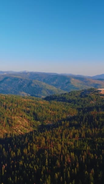 Живописный Пейзаж Горного Ландшафта Ярких Лучах Утреннего Солнца Сосновый Лес — стоковое видео