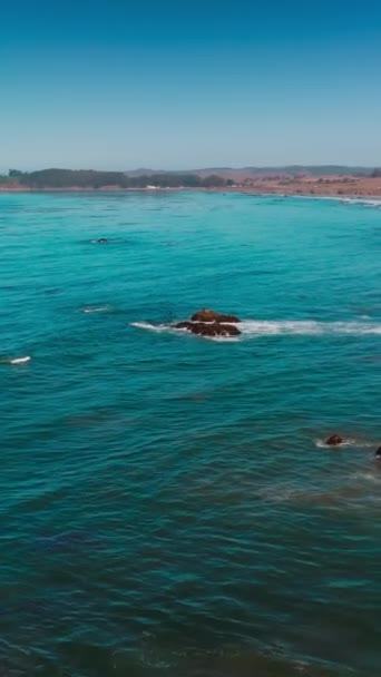 Vagues Mousseuses Blanches Arrivant Sur Rivage Baie Morro Par Temps — Video