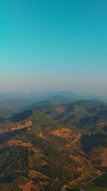 五彩缤纷的热气球在青山上空飞舞 美国加州纳帕谷的风景如画的全景 空中风景 垂直录像 — 图库视频影像