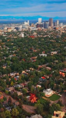 Bir sürü yeşil ağacı olan yoğun şehir manzarası. Denver, Colorado 'nun Panorama' sı. Olağan mimarinin dışında birkaç gökdelen var. Arka planda ufukta mavi dağ çizgisi var. Dikey video.