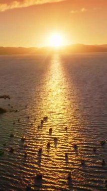 Tahoe Gölü 'nün sularında yüzen tekneler çarpıcı günbatımının tadını çıkarıyor. Güneşin batışında gölün güzel manzarası. Arkaplanda dağlar. Dikey video.