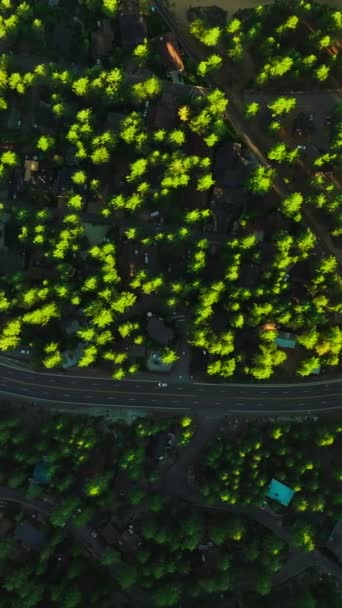 Borový Les Soukromými Domy Mezi Stromy Dvouproudová Dálnice Projíždí Teritoriem — Stock video