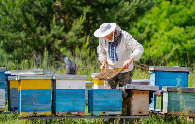 Arıcı apiary üzerinde arı lar ve arı kovanları ile çalışıyor. Arıcılık kavramı.
