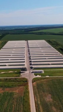 Yenilikçi çiftlik işletmeleri. Çiftlik arazilerinde düzinelerce ahır var. Arka planda güzel doğa manzarası. Hava görüntüsü. Dikey video