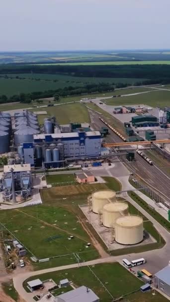 Date Technological Plant Storage Processing Grain Powerful Elevator Enterprise Territory — Stock Video