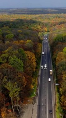 Ormanda arabalı bir yol. Renkli sonbahar ormanlarından geçen arabalar var. Otoyolun iki tarafında da renkli ağaçlar var. Hava görüntüsü. Dikey video