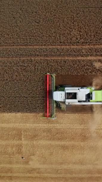 작물을 수확기를 결합합니다 기계는 들판을 움직이고 건초를 뜨립니다 비디오 — 비디오