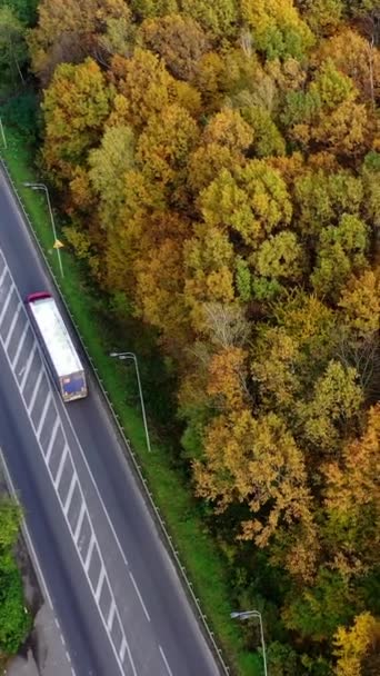 Estrada Floresta Outono Caminhões Carros Movendo Uma Estrada Entre Belas — Vídeo de Stock