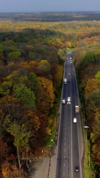 森の中のクルマで カラフルな秋の森を駆け抜ける車 高速道路の両側にあるカラフルな木 空からの眺め バーティカルビデオ — ストック動画