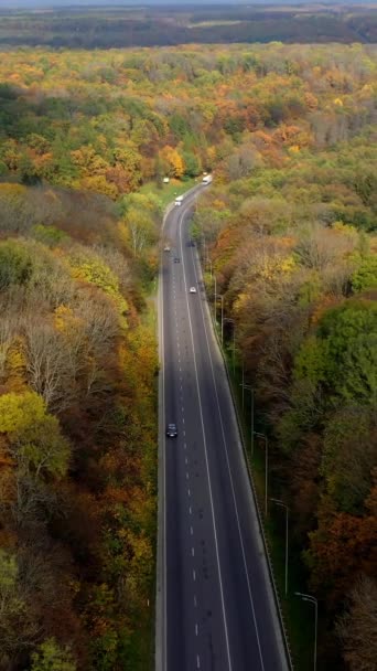 Осенний Пейзаж Шоссе Вид Дорогу Машинами Движущимися Внутри Цветущего Леса — стоковое видео