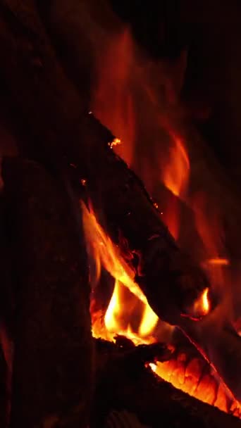 Palenie Drewnianych Kłód Kominku Ogień Kominku Kłodami Płomieniami Tło Palących — Wideo stockowe
