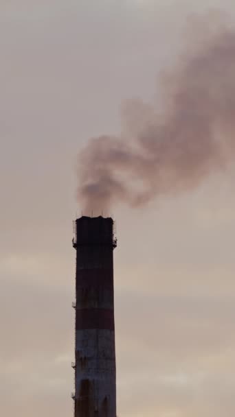 Tubi Industriali Con Fumo Massiccio Emissioni Nocive Riempiono Aria Sullo — Video Stock