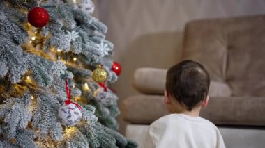 Tatlı bebek Noel ağacında asılı renkli toplara dokunuyor. Çocuk kırmızı oyuncağı aldı ve ısrarla çekti..