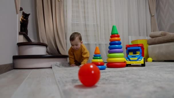 オレンジ色の服を着ているアクティブな白人幼稚園は おもちゃの間の部屋の周りにクロールします 赤ん坊は床によってそれを蹴る赤いボールに続きます — ストック動画