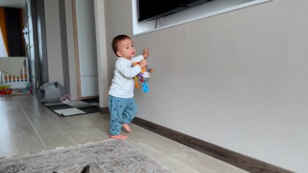 壁に沿って歩いているスイートガール 小さな赤ん坊の少年は部屋の壁のアルコーブでテレビに到達しようとします — ストック動画