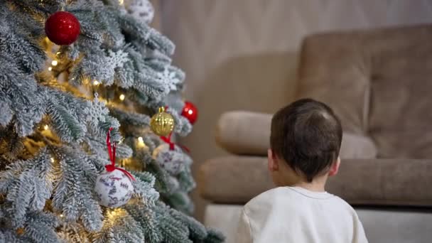 可爱的小男孩摸挂在圣诞树上的彩球 小孩捡起红色的玩具 不停地拉它 — 图库视频影像