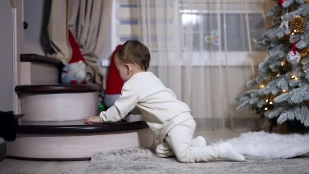 Gyönyörű Kaukázusi Fiú Mászik Szoba Díszített Karácsonyra Édes Gyermek Felmászik — Stock videók