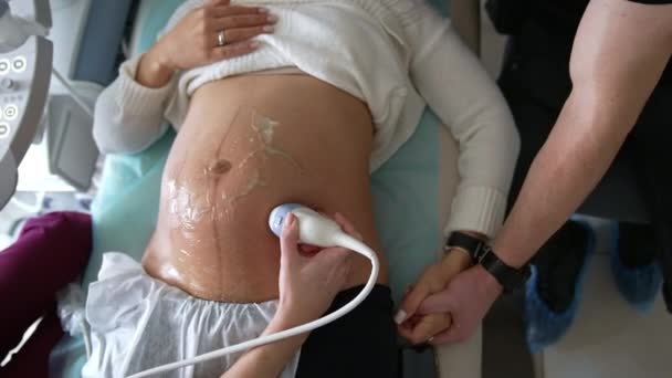 Schwangere Liegt Auf Dem Sofa Des Arztes Daneben Sitzt Ihr — Stockvideo