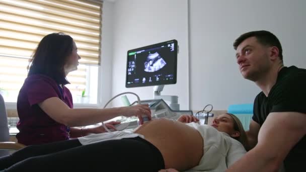 妊娠中の妻と夫は医師の内閣にいる 女性の大きな腹でセンサーを動かす女性医師 — ストック動画