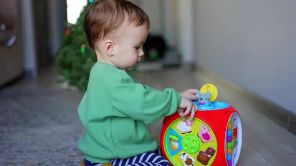 Cute Caucasian Baby Boy Focused His Play Toy Black Cat — Stock Video