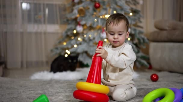 かわいい小さなコーカサス トッドラーが床に座っているピラミッドで遊んでいます ブラックキャットとクリスマスツリーは ぼろぼろの背景に座って — ストック動画