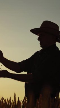 Gün batımında çiftçi silueti. Şapkalı bir tarımcı, elinde tahıllar ve batan güneşe karşı tarladaki olgunluğu analiz ediyor. Dikey video