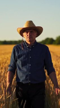 Olgun buğdayın arasında şapkalı bir adam. Yazın sarı arka planda bir çiftçinin tam boy portresi. Tarım arazilerinde tarımcı. Dikey video