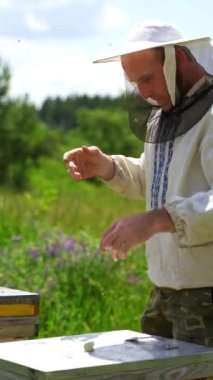 Arı yetiştiricisi arıda. Arı yetiştiricisi arı kovanının yakınındaki arılarla çalışıyor. Yeşil doğa arasında arı çerçeveli bir Apiarist. Dikey video